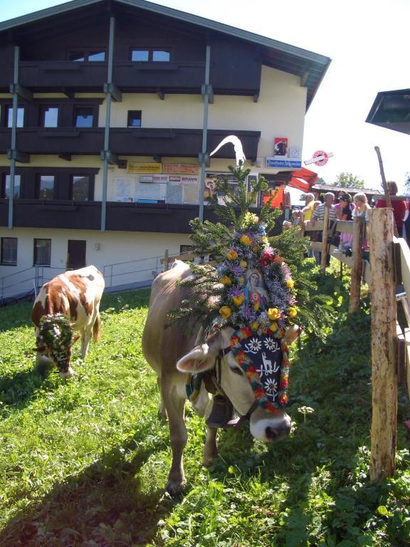 Moida-Ferienwohnung Fügen Værelse billede